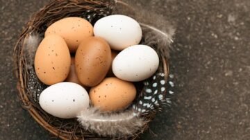 Jajka bez pęknięć – sprawdzony sposób na idealne gotowanie
