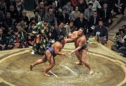 Sumo – sztuka walki ciała, tradycji i ducha
