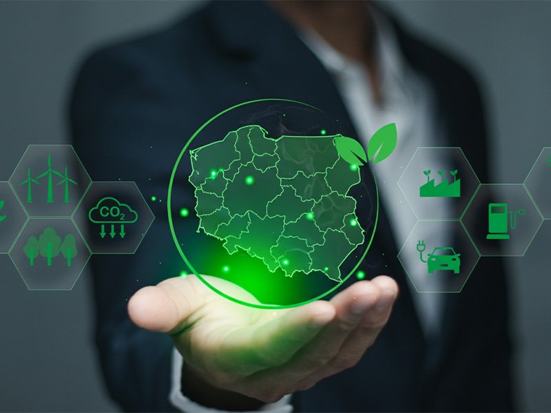 Dlaczego polskie firmy utykają na etapie strategii? Najczęstsze bariery wdrożeniowe dekarbonizacji