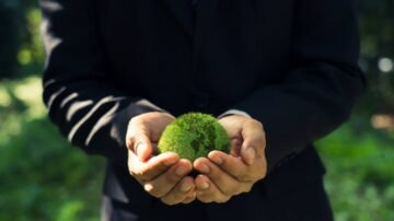 Inwentaryzacja przyrodnicza inwestycji – kiedy jest wymagana i co obejmuje