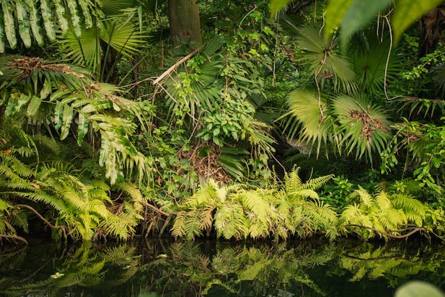 Aleksandra Szafrańska z „Królowych życia” – kim jest, ile ma lat i jak wygląda jej życie prywatne