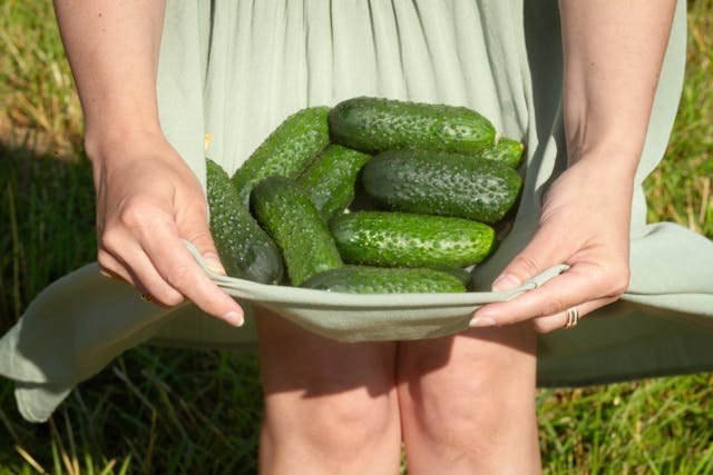 Polska kupuje ogórki za miliony. Hiszpania trzyma mocną pozycję