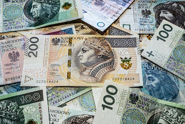 NBP zmienił skład walutowego portfela. Korona norweska i „kiwi” wypadły z rezerw