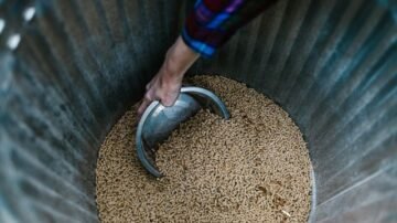 Pellet drożeje jeszcze przed sezonem. Polacy ruszyli po zapasy